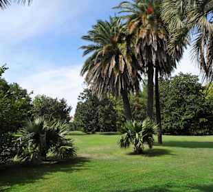 Impressionen aus dem Jardin des Plantes