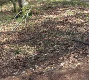 Waldlehrpfad an der Lauter