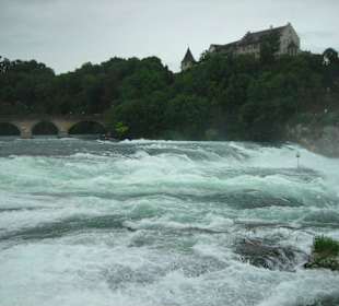 Rheinfall bei Regen