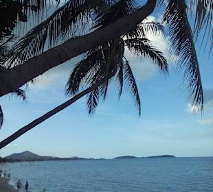 Beach vor samui paradise