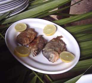 Gegrillte Piranhas