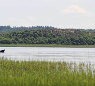 Kormoraninsel im Jezioro Dobskie