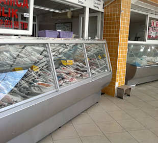 Alles was es gibt an Fisch zubekommen