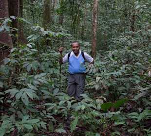 Ramlan unterwegs im Urwald von Ketambe