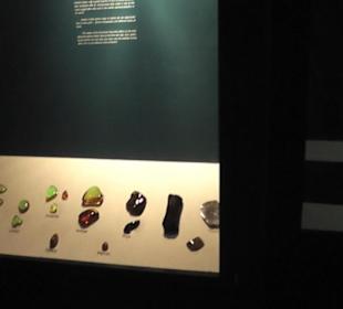 Schaukasten mit Bernsteinen