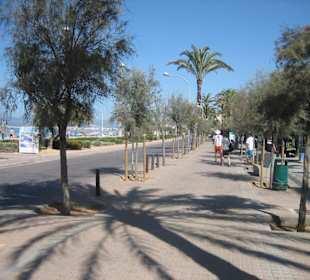 In der Nähe vom Strand