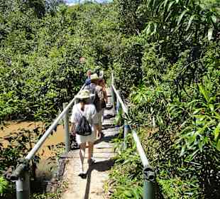 Wanderung zum Sheldrick Wasserfall