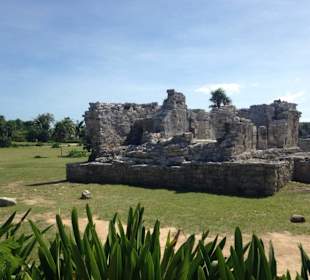 Maya-Ruine in Tulum
