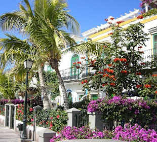 Häuser in Puerto de Mogan