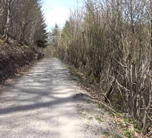 Spazierweg Ritter Museum