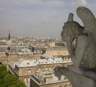 Blick von Notre Dame