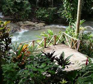 Dunn's Rivver Fall's bei Ocho's Rios