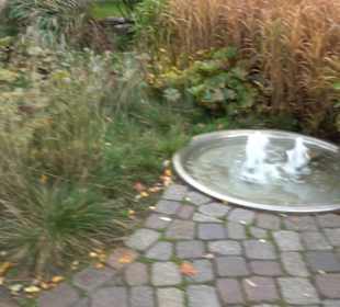Sprudel- und Quellgarten 