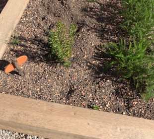 Arzneipflanzengarten Klosterreichenbach