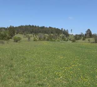 Premiumwanderweg Hochgehschätzt