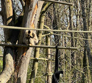 Tiergarten Straubing