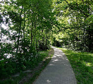 Uferweg am Stadtwaldsee