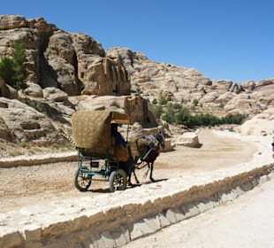 Spacer po Mieście Wykutym w Skale - Petra