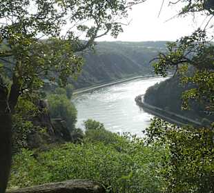Ausblick vom Loreley-Felsen (Loreley-Plateau)