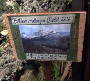 Basilica de la Mare de Deu de Lluc