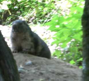 Tierpark Hellabrunn - Afrika
