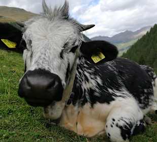 Wandern Innervillgraten