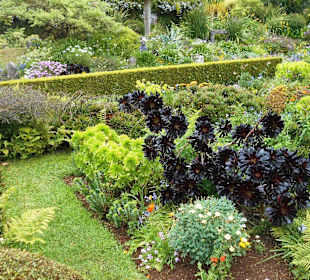 Palheiro Gardens