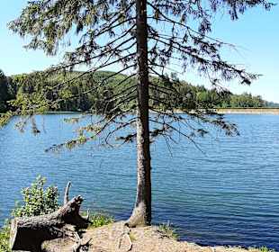 Wandern Clausthal-Zellerfeld