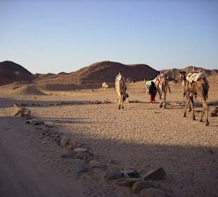 Kamele