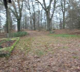 Lourdesgrotte Bremelau