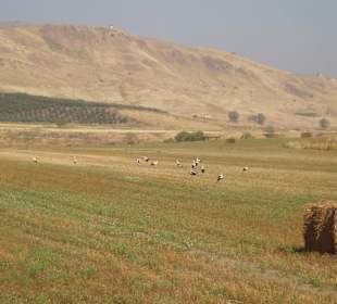 Jordan River Peace Park