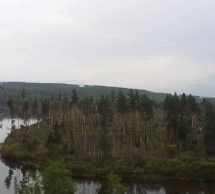 Die Taiga