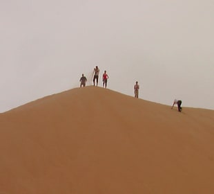 Wüstensafahri/Sandsurfer