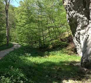 Premiumwanderweg Hochgehschätzt