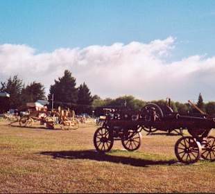 Wagen im Freiluftnuseum