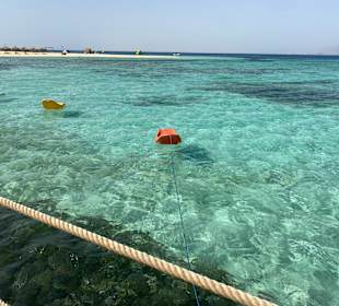 Sea