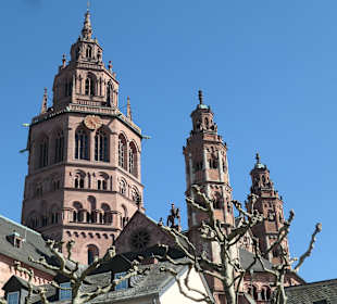 Blick zum Mainzer Dom