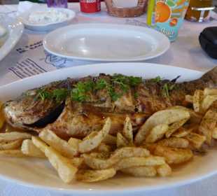 Dorade bei Costa