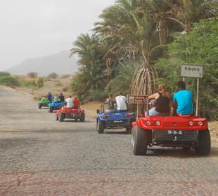 Buggy Tour