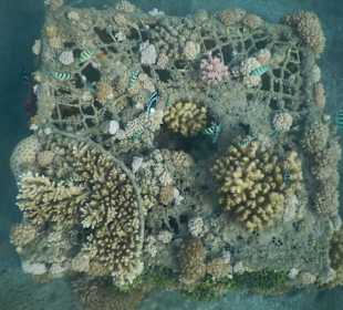 "Miniriff" nahe Nordriff