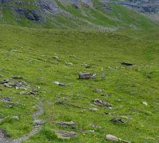 Rund ums Schilt