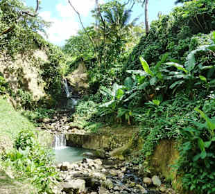 Bach beim Drive In Vulkan