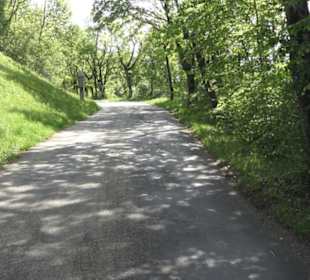 Kreuzweg auf dem Hohenrechberg