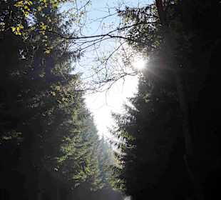 Riesengebirge/Karkonosze