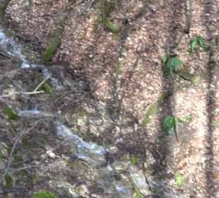 Wasserfallsteig