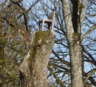 Unterwegs im Park der Wehranlagen Schweinfurt