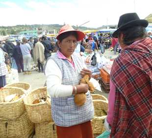 Ist doch gut mein Meerschwein