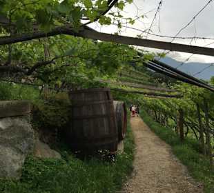 Waalweg Leiter am Waal