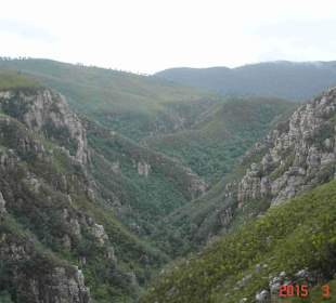 Tsitsikamma National Park