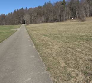 Schanze des Spanischen Erbfolgekriegs bei Willmand